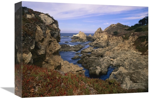 Global Gallery GCS-396612-1216-142 12 x 16 in. Iceplant Growing on Cli