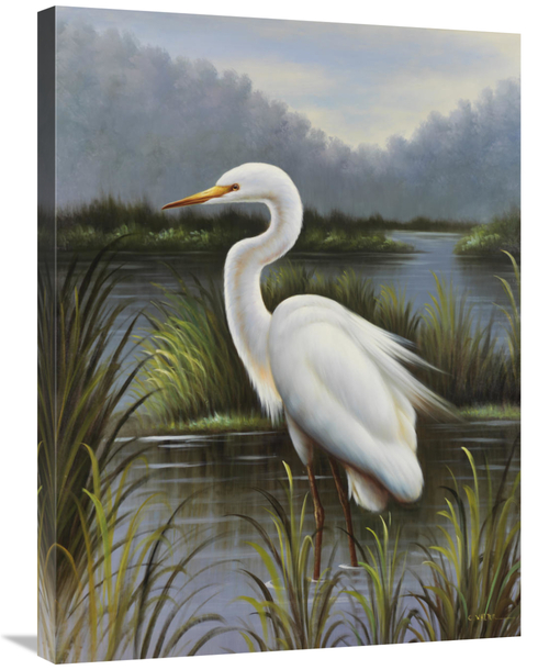 Global Gallery GCS-132465-2432-142 24 x 32 in. Morning Egret Art Print