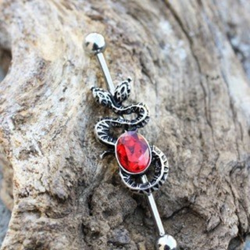 316L Stainless Steel Two-Headed Snake with Ruby Red CZ Industrial