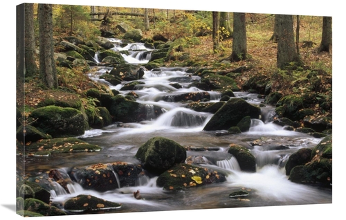 Global Gallery GCS-452406-2436-142 24 x 36 in. Creek Cascading Through