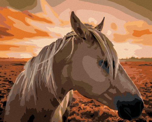 Paint by Numbers - HORSE AT SUNSET