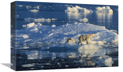 Global Gallery GCS-398248-1218-142 12 x 18 in. Polar Bear Adult & Cub 