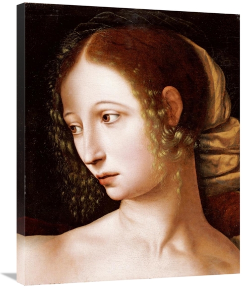 Global Gallery GCS-267496-30-142 30 in. Lucretia - a Fragment Art Prin