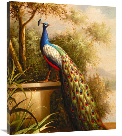 Global Gallery GCS-132589-36-142 36 in. Regal Peacock Art Print - Blum