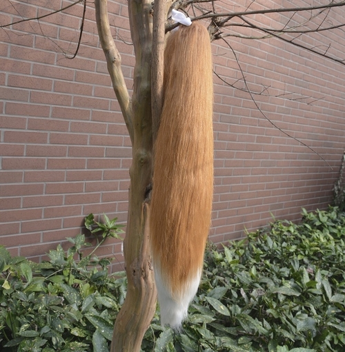 Japanese Anime Spice and Wolf Cosplay Props Holo