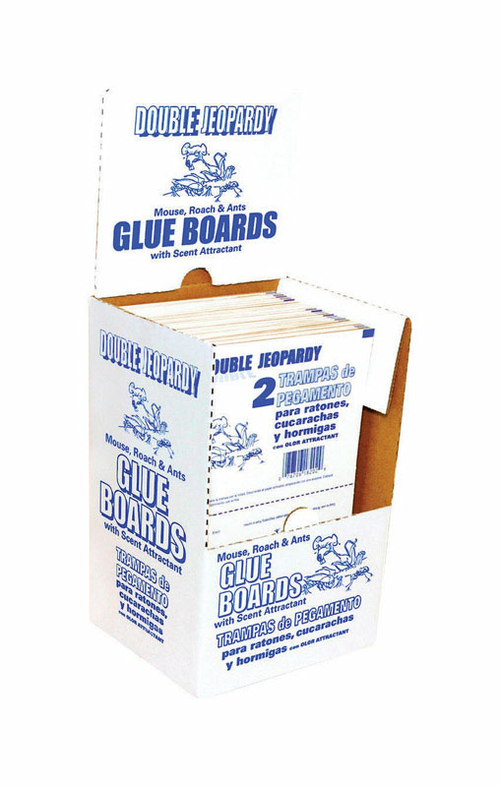 Jt Eaton 182B Double Jeopardy Banana Scented Glue Boards- pack of 72