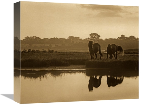 Global Gallery GCS-395923-16-142 16 in. Wild Horse Pair Grazing at Ass