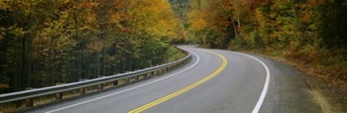 Panoramic Images PPI105639L Road passing through a forest  Winding Roa