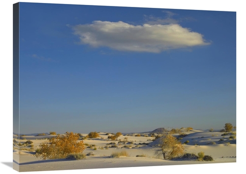 Global Gallery GCS-396813-2432-142 24 x 32 in. Cloud Over White Sands 