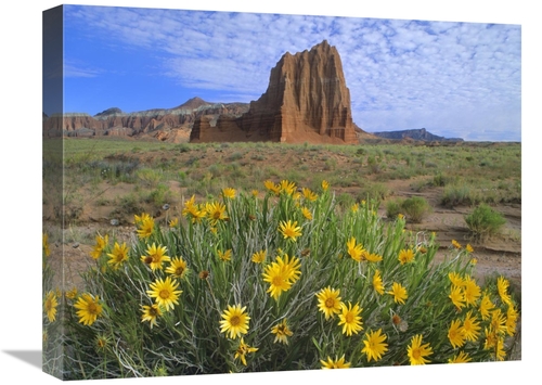 16 x 20 in. Temple of the Sun with Common Sunflowers in the Foreground