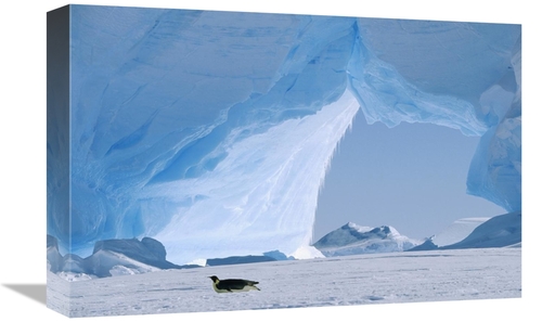 Global Gallery GCS-452321-1218-142 12 x 18 in. Emperor Penguin Tobogga