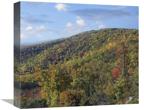 Global Gallery GCS-397004-16-142 16 in. Blue Ridge Range From Moormans