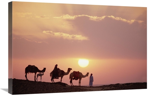 Global Gallery GCS-452938-2030-142 20 x 30 in. Dromedary Camels & Bedo