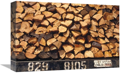 Global Gallery  12 x 18 in. Firewood Hauled From Clearcut on Truck Bed