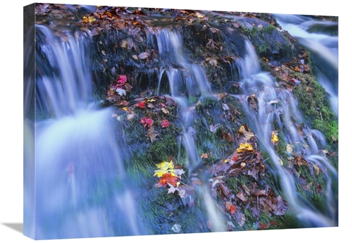 Global Gallery GCS-396767-1824-142 18 x 24 in. Laurel Creek Cascades&#