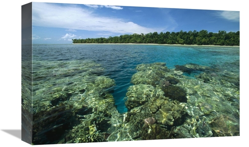 Global Gallery GCS-452342-1218-142 12 x 18 in. Coral Lagoon & Palm Lin