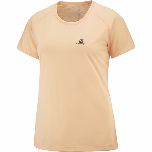 Short-sleeve Sports T-shirt Salomon Cross Rebel