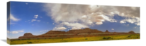 Global Gallery GCS-396190-1236-142 12 x 36 in. Big Wild Horse Mesa Nea