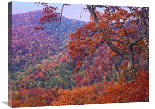 Global Gallery GCS-397021-2432-142 24 x 32 in. Blue Ridge Range with A