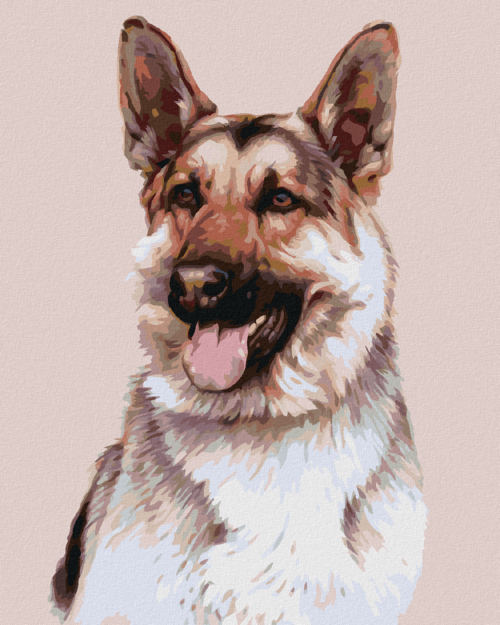 Zuty - Paint by Numbers - GERMAN SHEPHERD DOG (JIM KILLEN), 40x50 cm