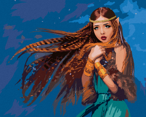 Paint by Numbers - ELF PRINCESS