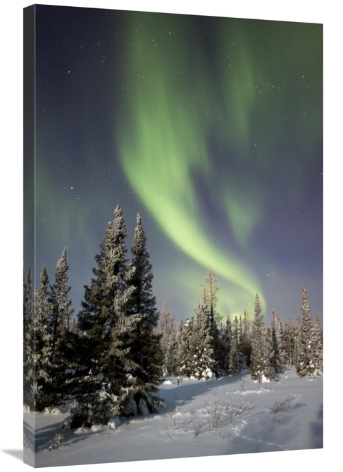 Global Gallery GCS-395412-2436-142 24 x 36 in. Northern Lights Over Bo