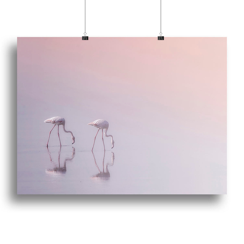 Flamingos Drinking Canvas Print or Poster