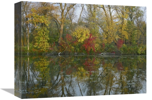 Global Gallery GCS-396825-1216-142 12 x 16 in. Autumn Reflection on Ma