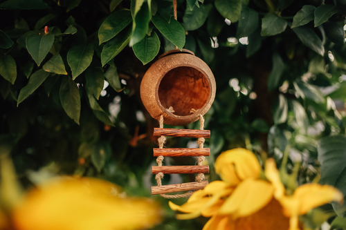 QToys Australia Coco Fairy House 