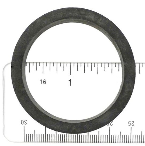 ALA-PT APCG3020 Pump Diffuser Gasket