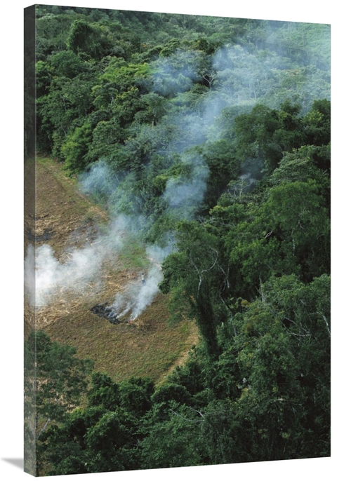 24 x 36 in. A Farmer Burns His Agricultural Field After Harvesting the