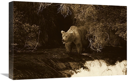 Global Gallery GCS-453698-1624-142 16 x 24 in. Grizzly Bear Fishing&#4