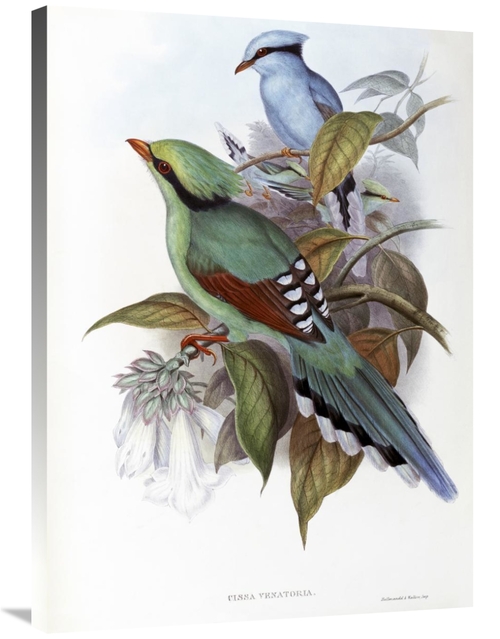 Global Gallery GCS-277767-36-142 36 in. Hunting Cissa Art Print - John