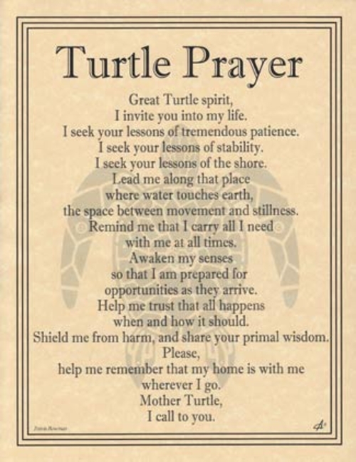 Turtle Prayer poster