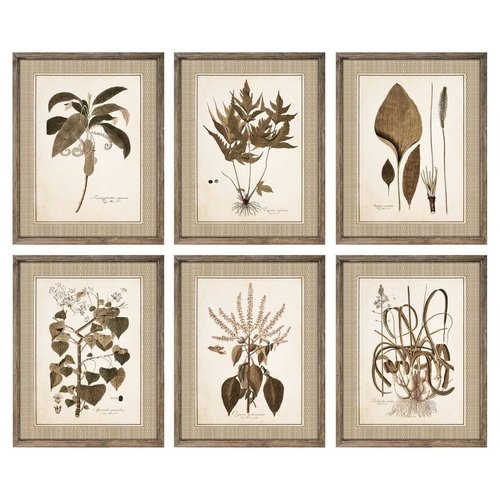 Painting DKD Home Decor 55 x 2,5 x 70 cm Modern Botanical plants (6