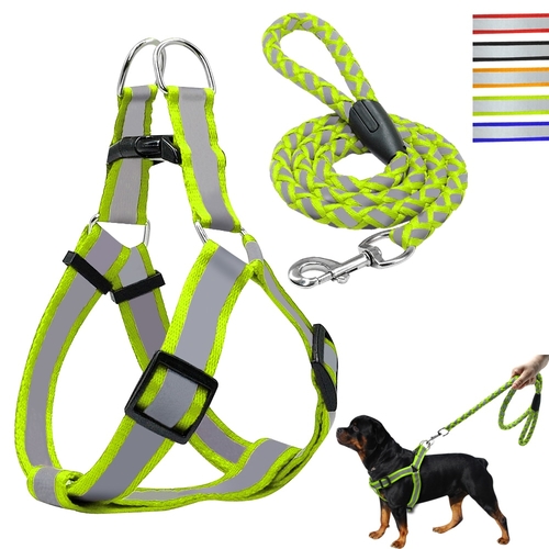 Small Dog Harness and Leash Set Reflective Nylon