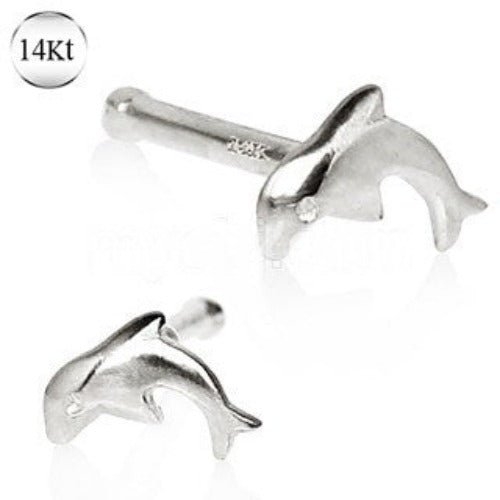 14Kt White Gold Stud Nose Ring with a Dolphin