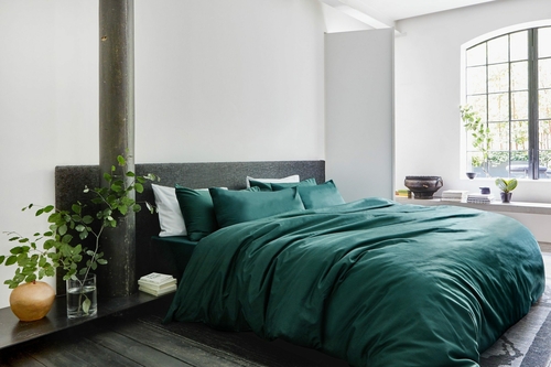 Pillow Case | House Babylon Collection | Green - Classic