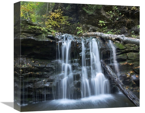 Global Gallery GCS-396374-16-142 16 in. Seneca Falls, Ricketts Gle