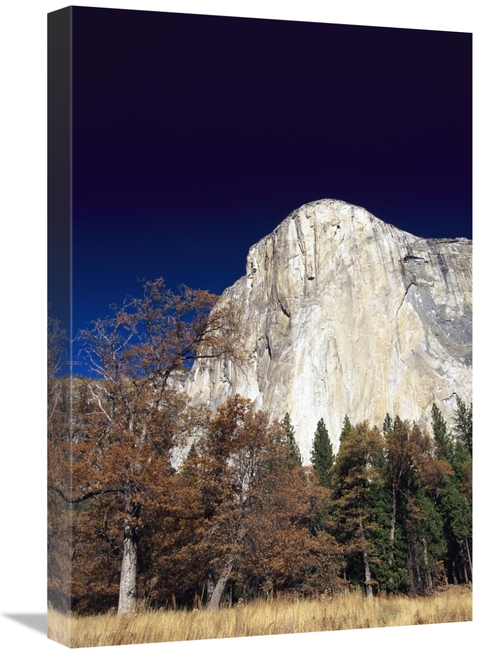 Global Gallery GCS-452918-1624-142 16 x 24 in. Late Light on Face of M