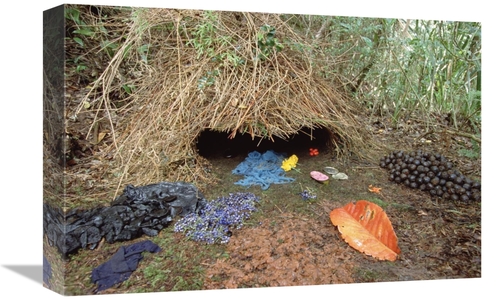 Global Gallery GCS-452400-1218-142 12 x 18 in. Brown Gardener & His Bo