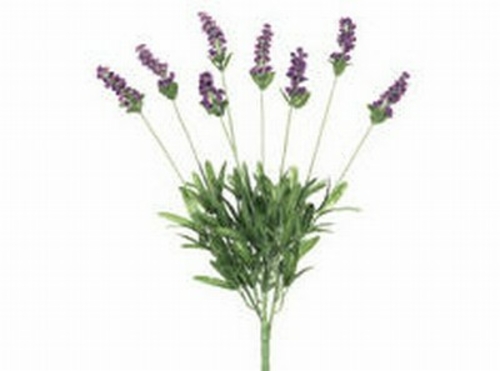 FBL598-LV-BL 19 in. Blue Lavender Bush X6- Case of 12