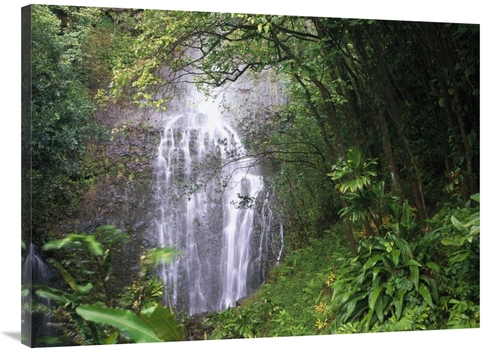 Global Gallery GCS-396122-3040-142 30 x 40 in. Waterfall Along Hana Co
