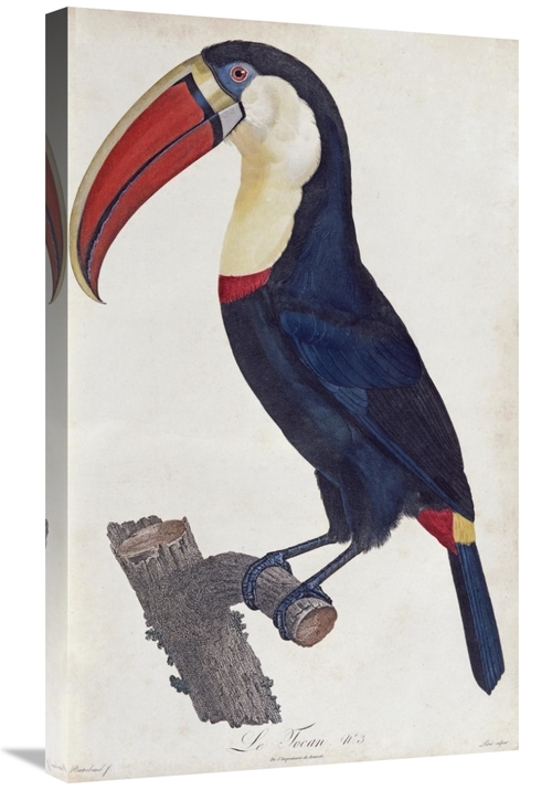 Global Gallery GCS-268246-30-142 30 in. Toucan Art Print - Francois Le
