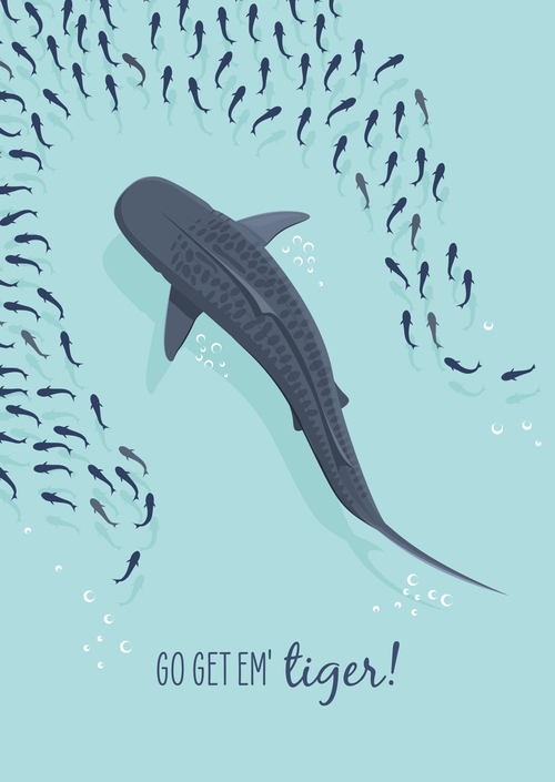 Other Card - Tiger Shark