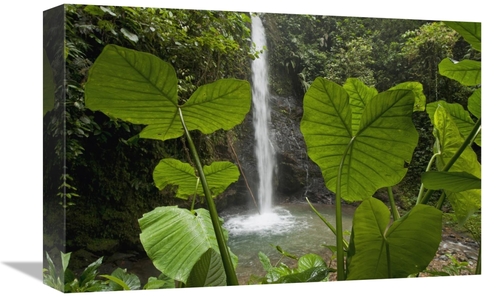 Global Gallery GCS-395563-1218-142 12 x 18 in. Waterfall in Lowland Tr