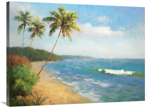 Global Gallery GCS-130139-3040-142 30 x 40 in. Palma De La Playa Art P