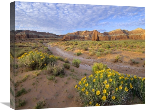 Global Gallery GCS-397086-2024-142 20 x 24 in. Wildflowers Growing Alo