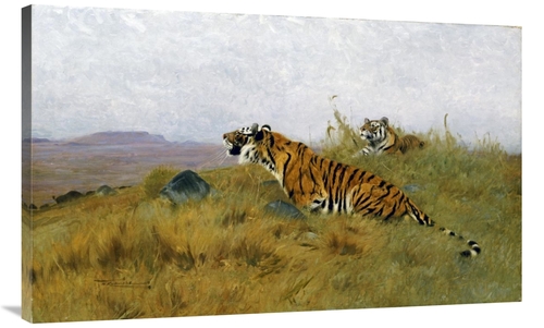 Global Gallery GCS-266702-44-142 44 in. Tigers Stalking Their Prey Art