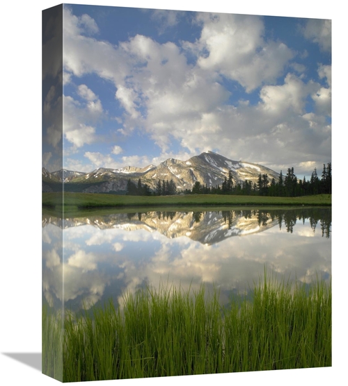 Global Gallery GCS-397076-1216-142 12 x 16 in. Mammoth Peak & Scattere